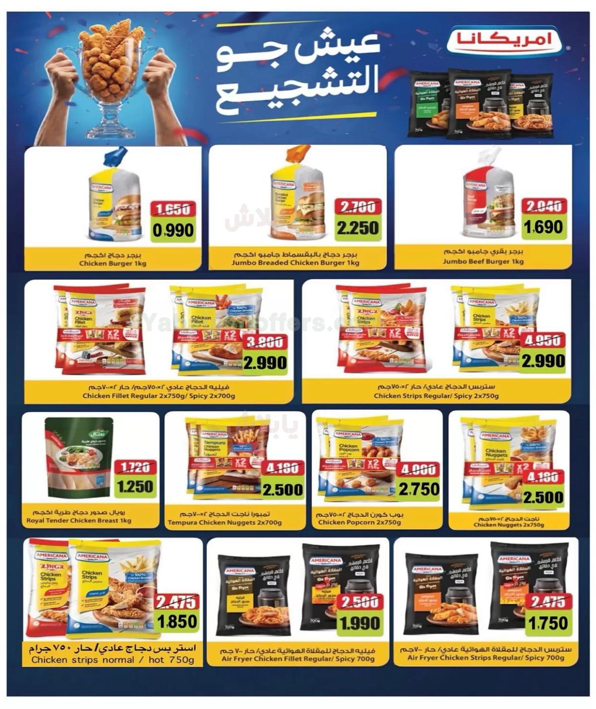 صفحة 3