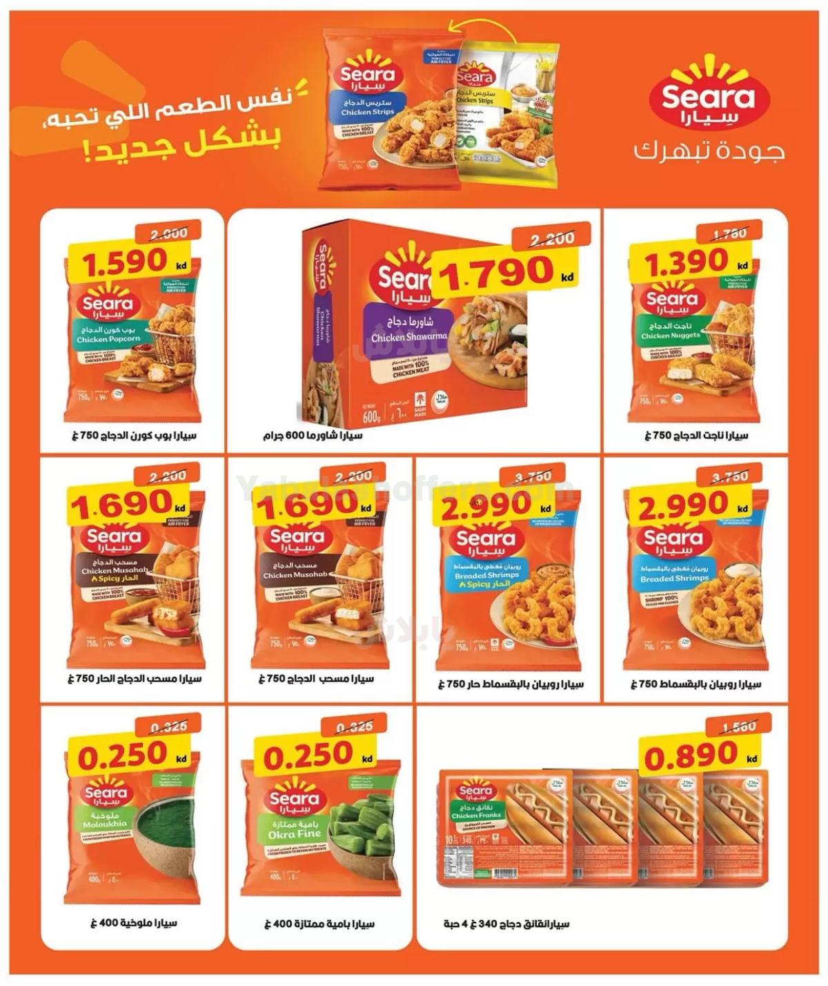 صفحة 8