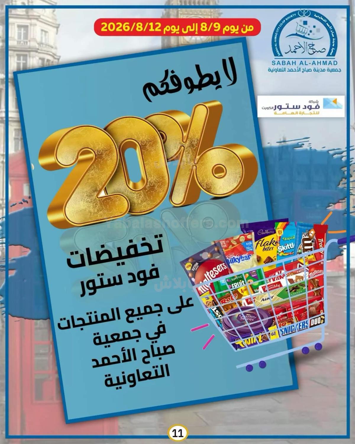 صفحة 10