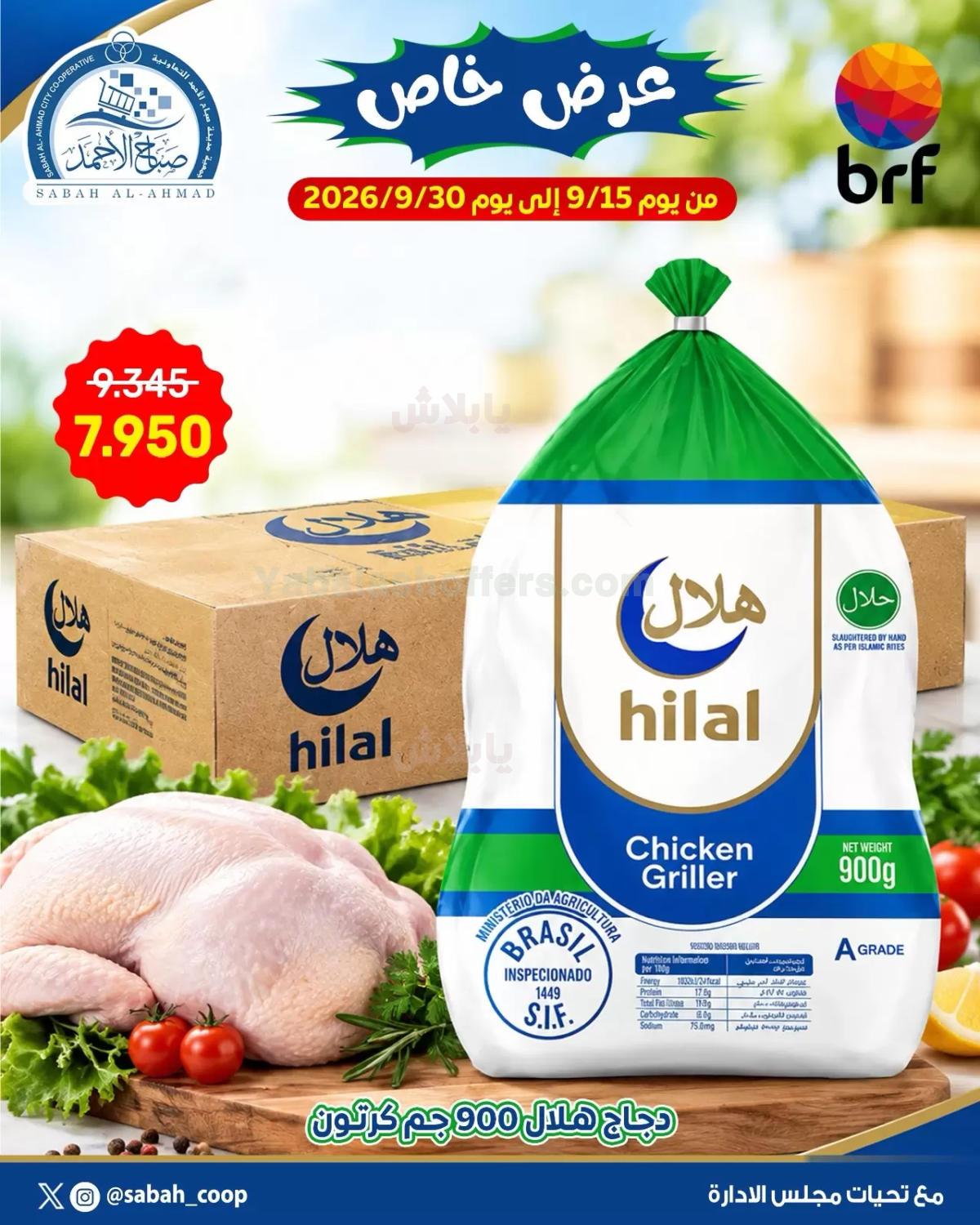 صفحة 1
