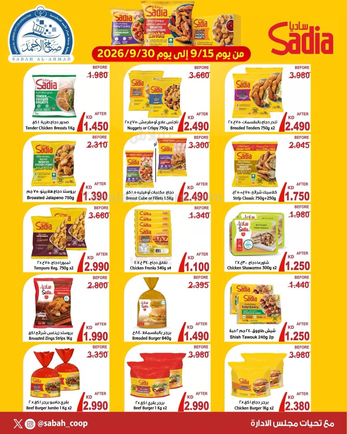 صفحة 2