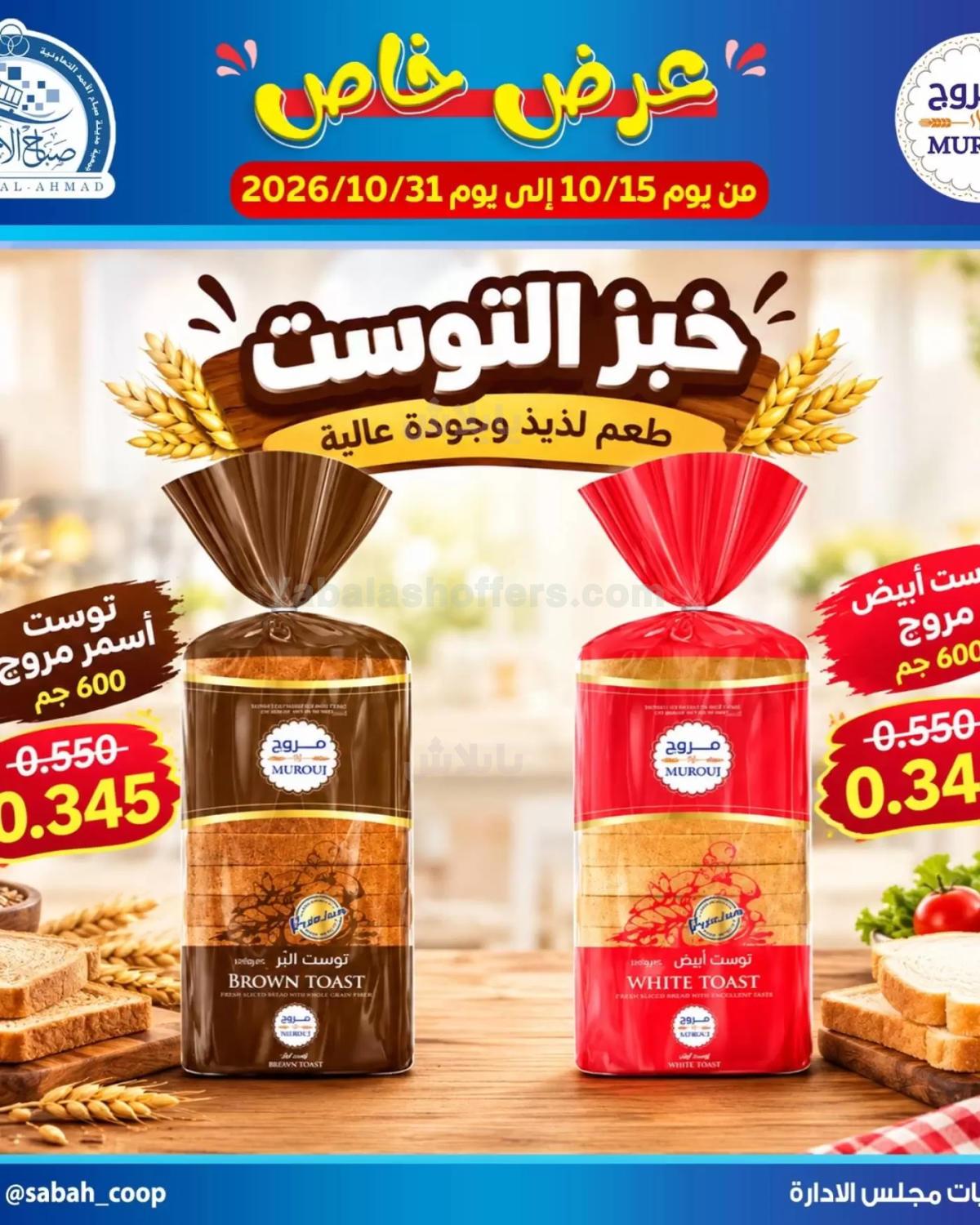 صفحة 2