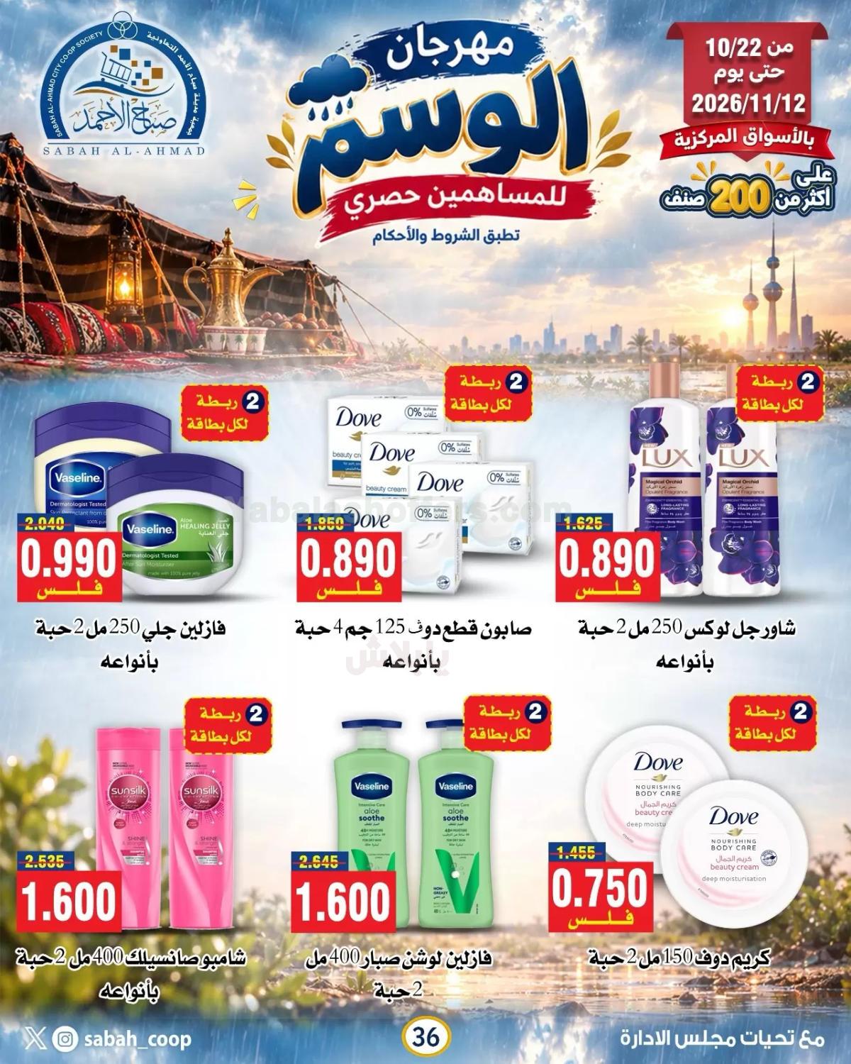 صفحة 17
