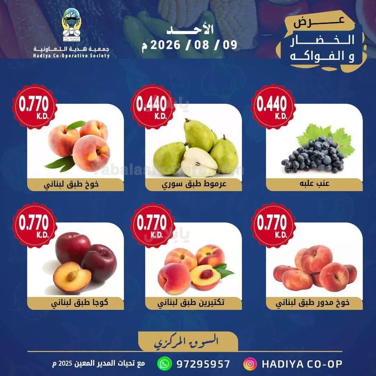 صفحة 8