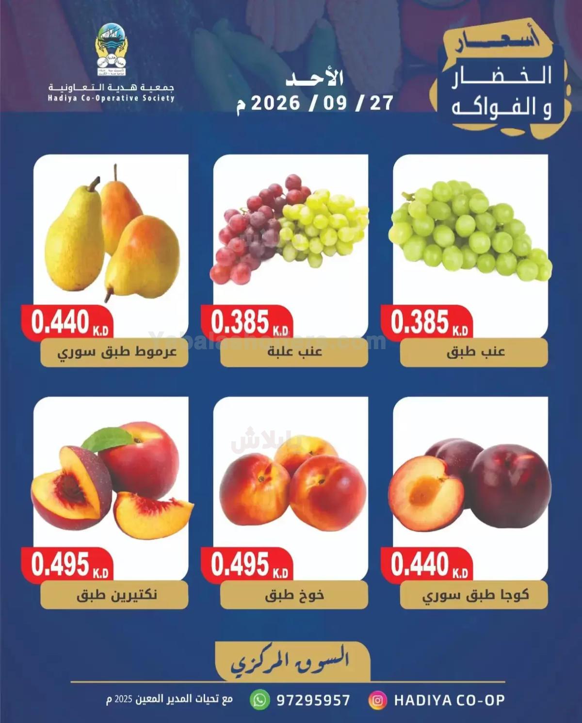 صفحة 8