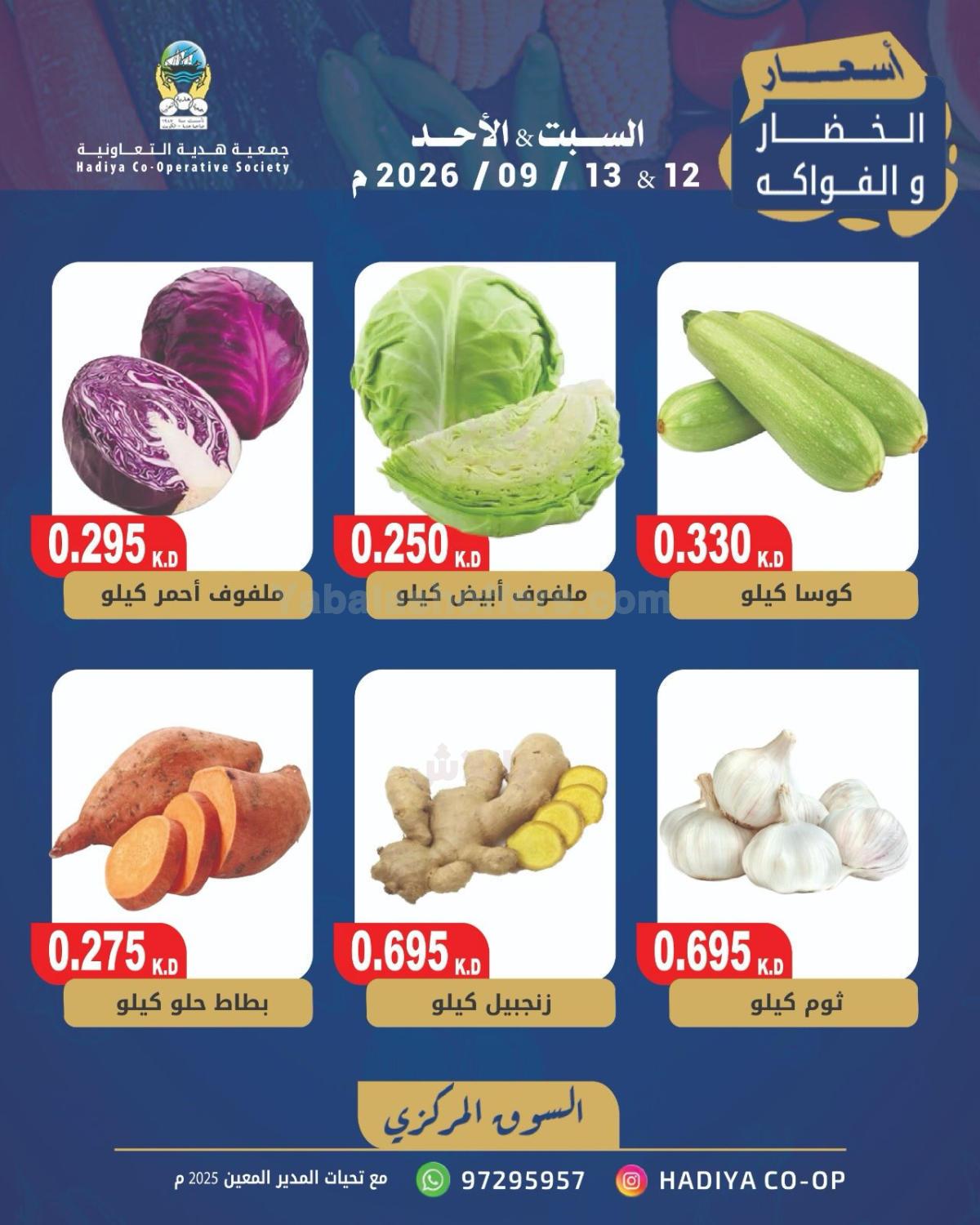 صفحة 3