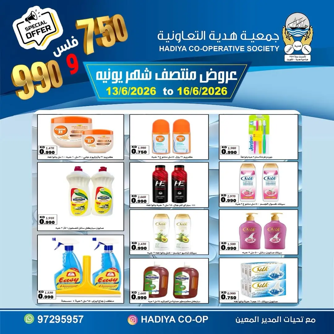 صفحة 13