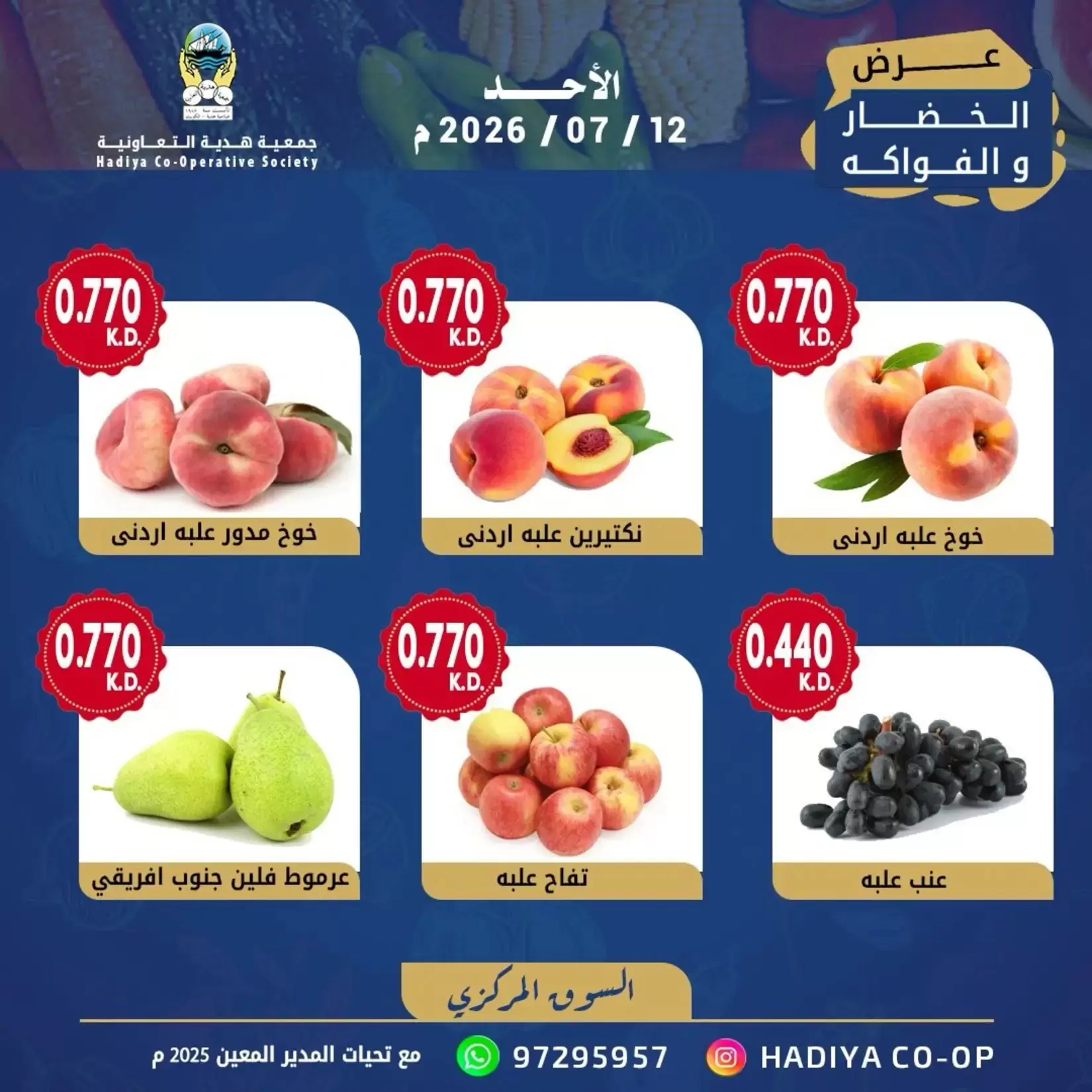 صفحة 8