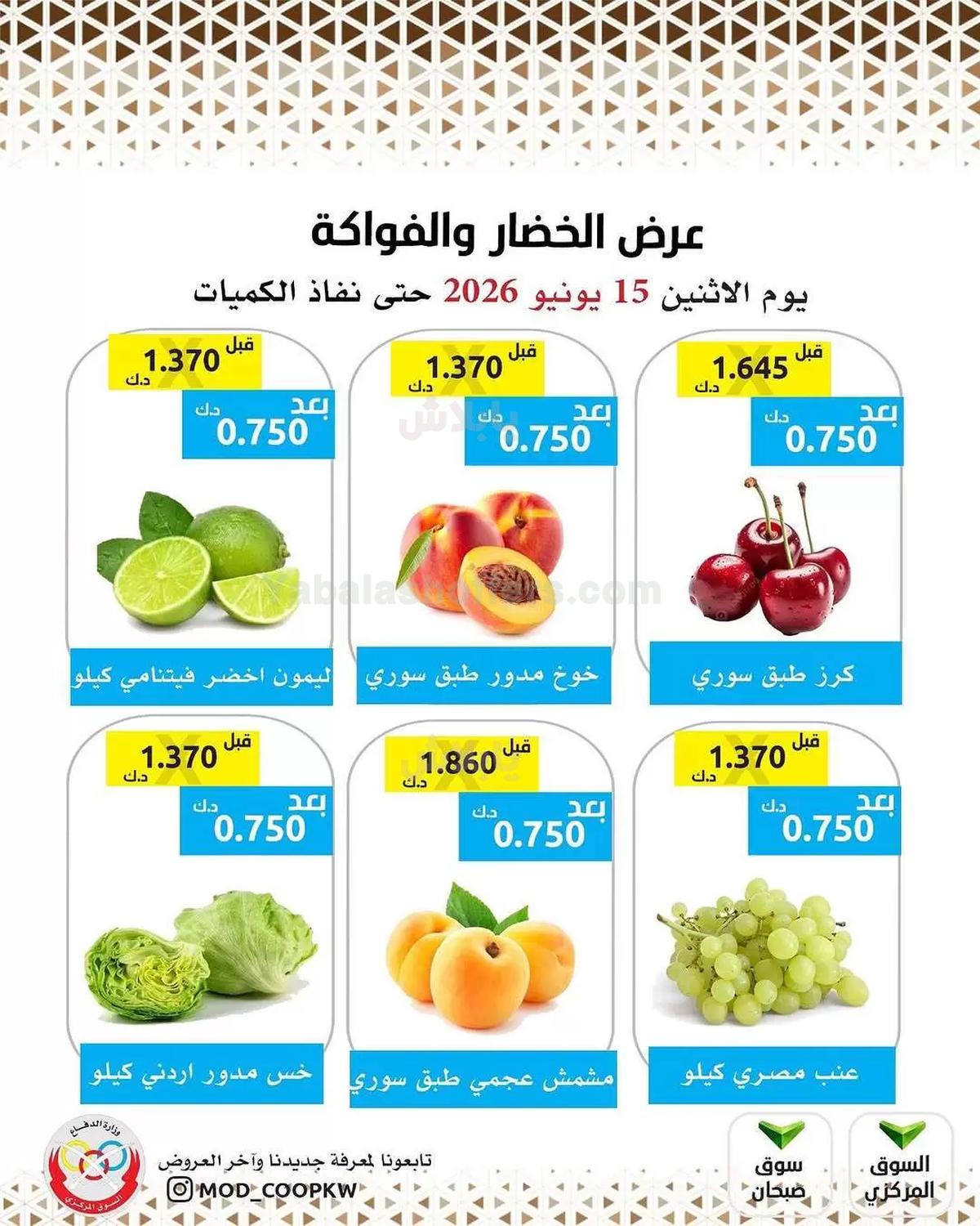 صفحة 4