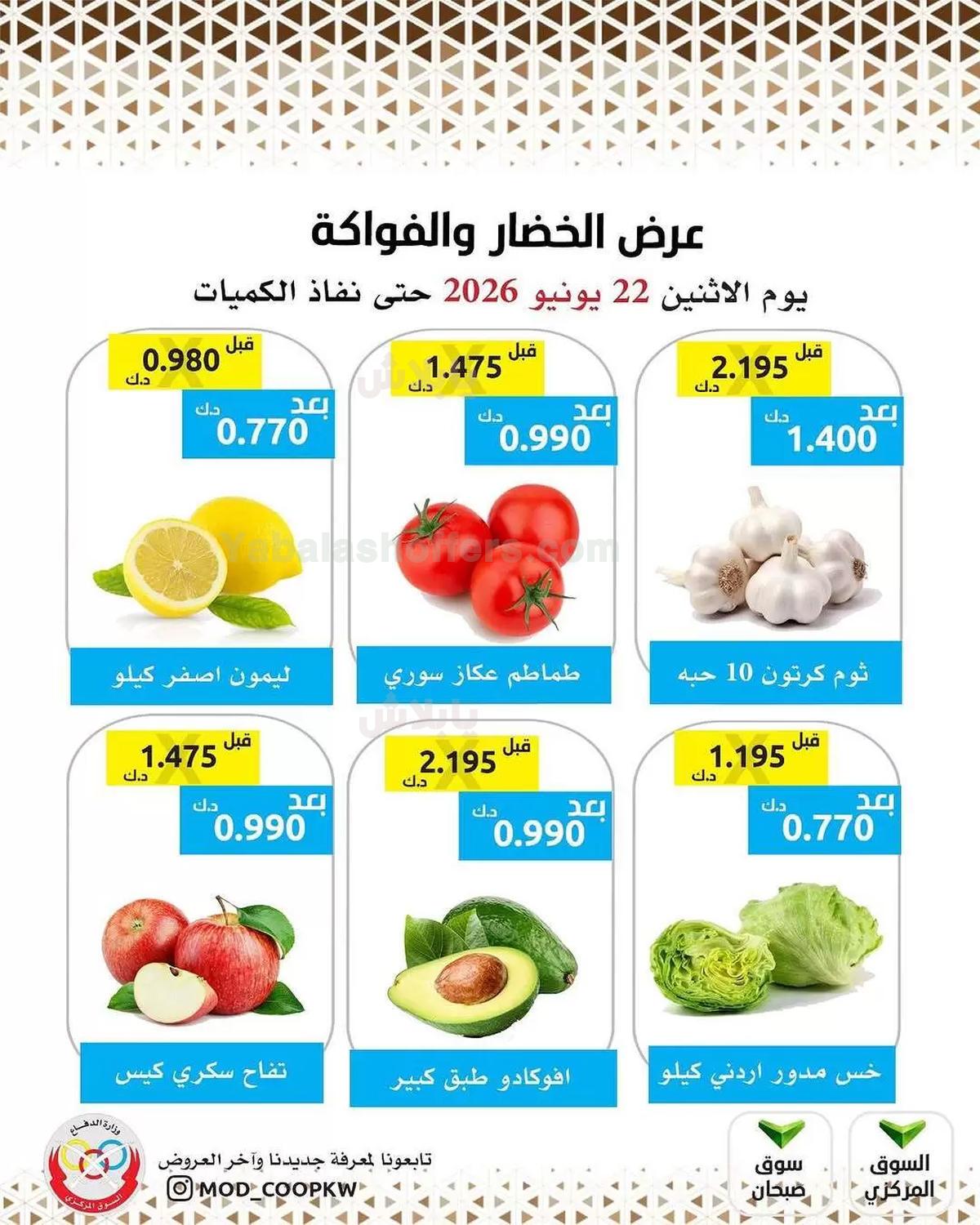 صفحة 3