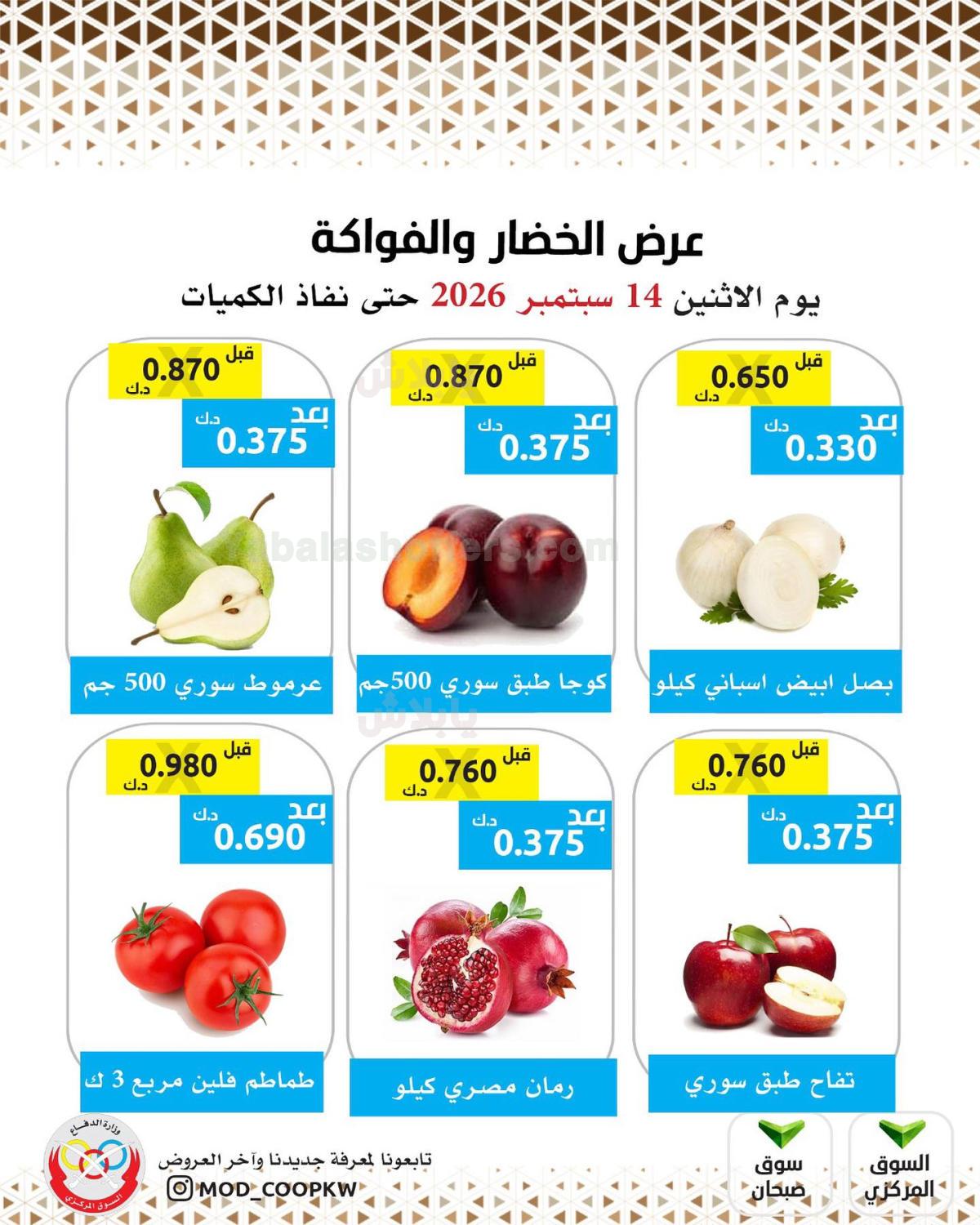 صفحة 2
