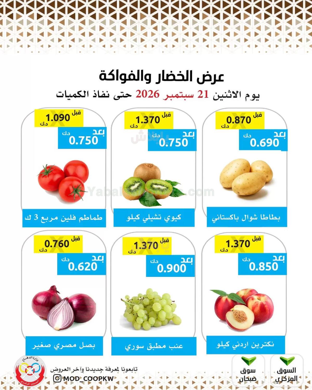 صفحة 3