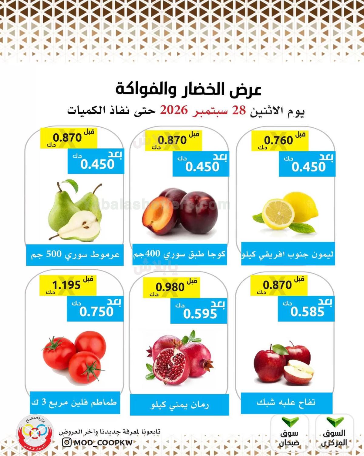 صفحة 2