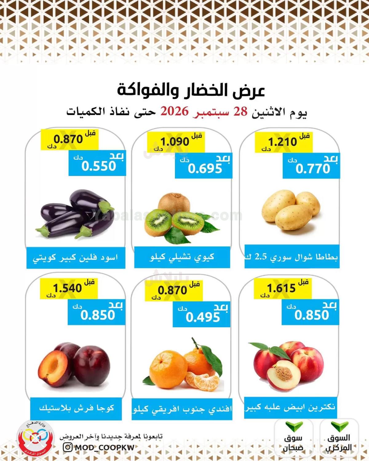 صفحة 3