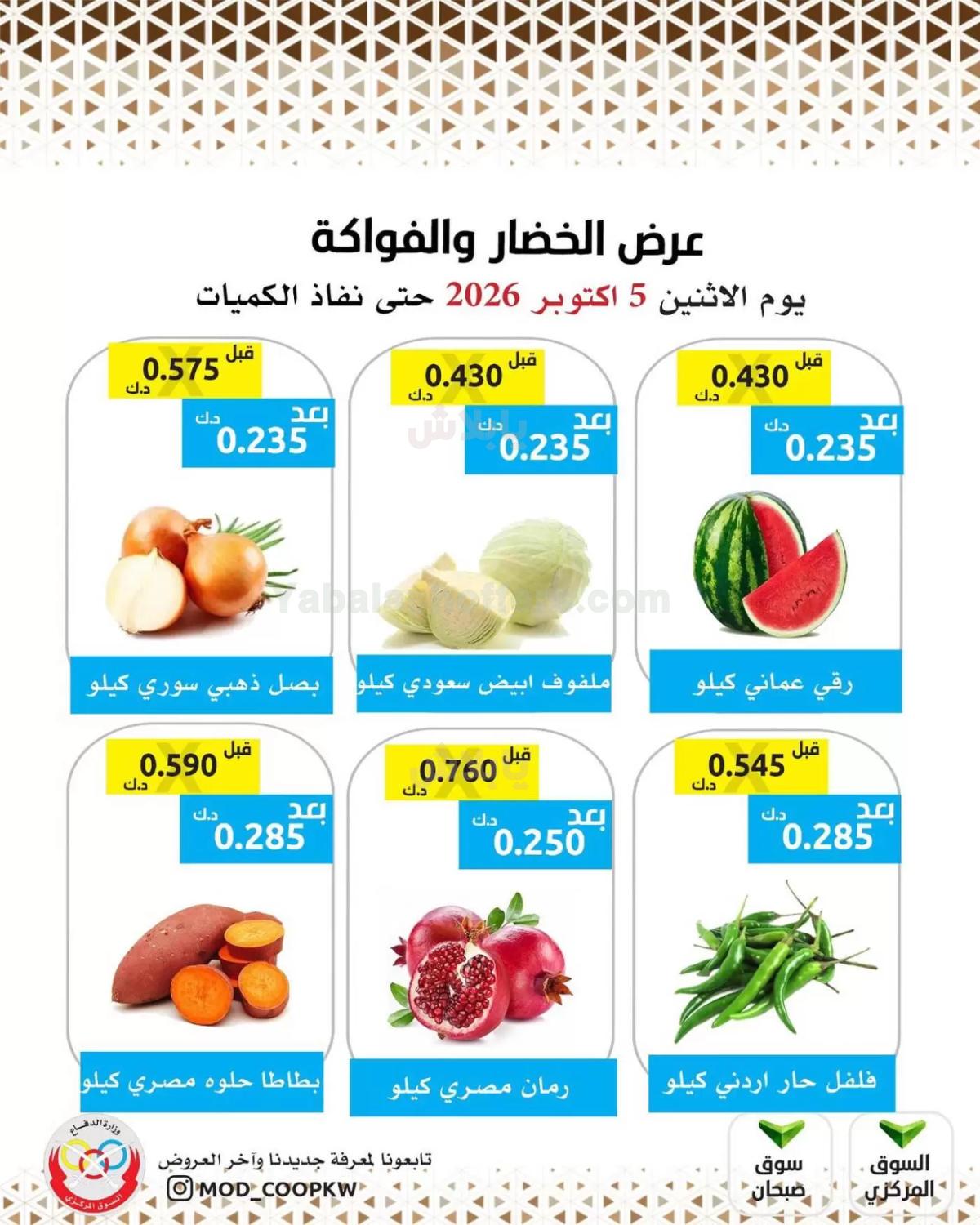 صفحة 3