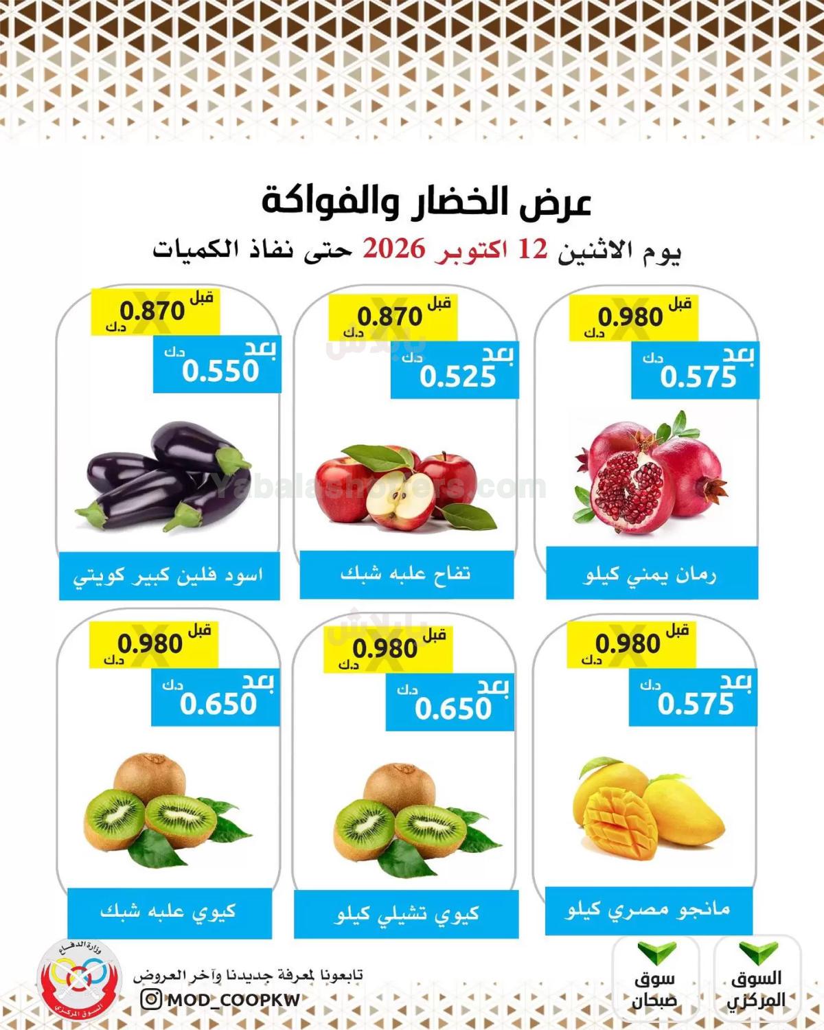 صفحة 2