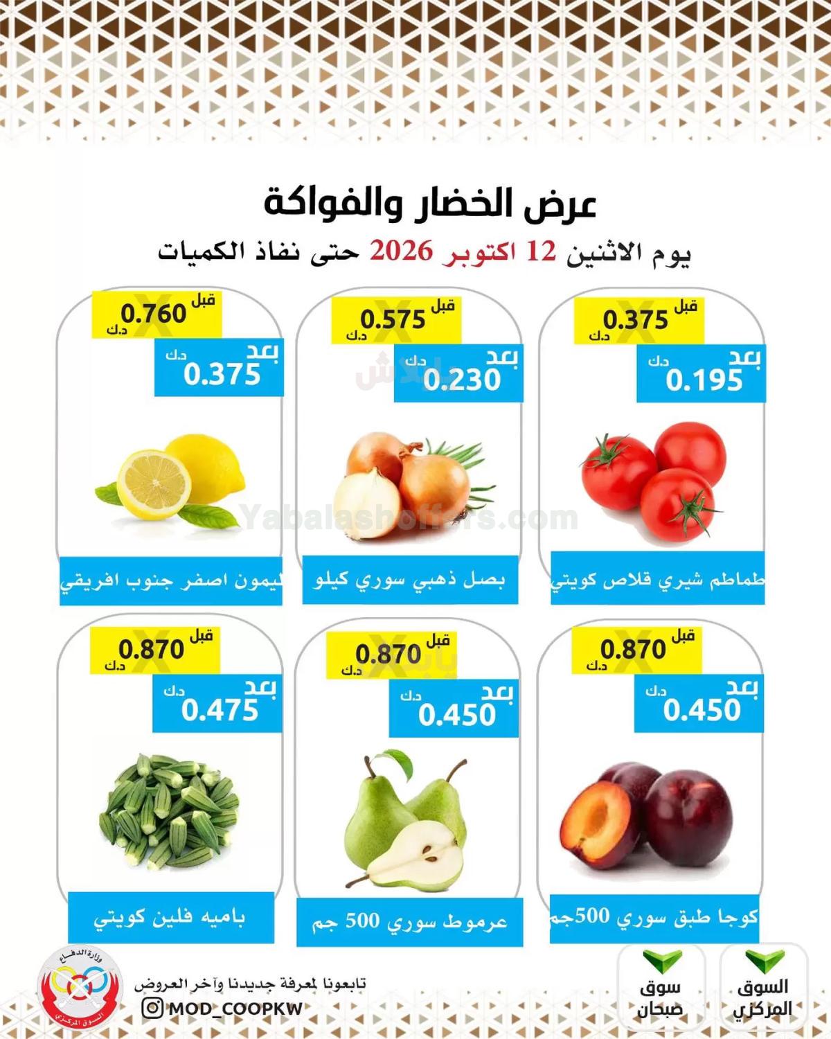 صفحة 3