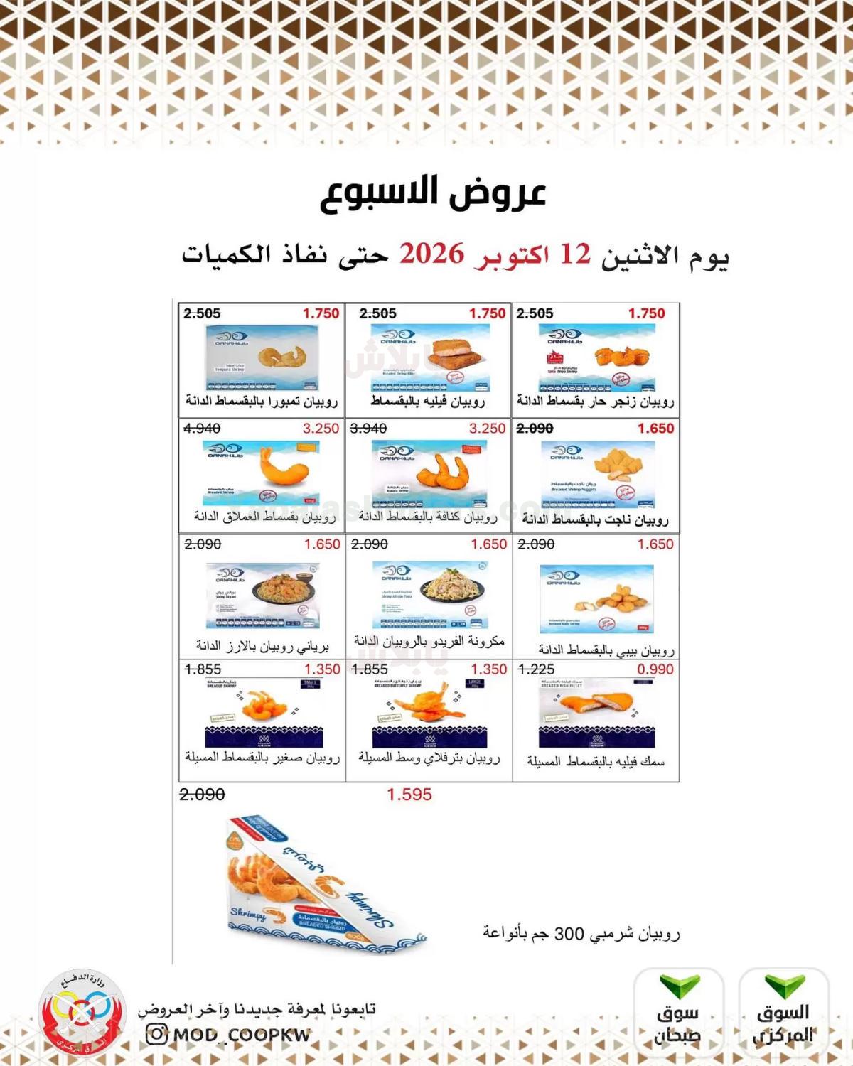 صفحة 3