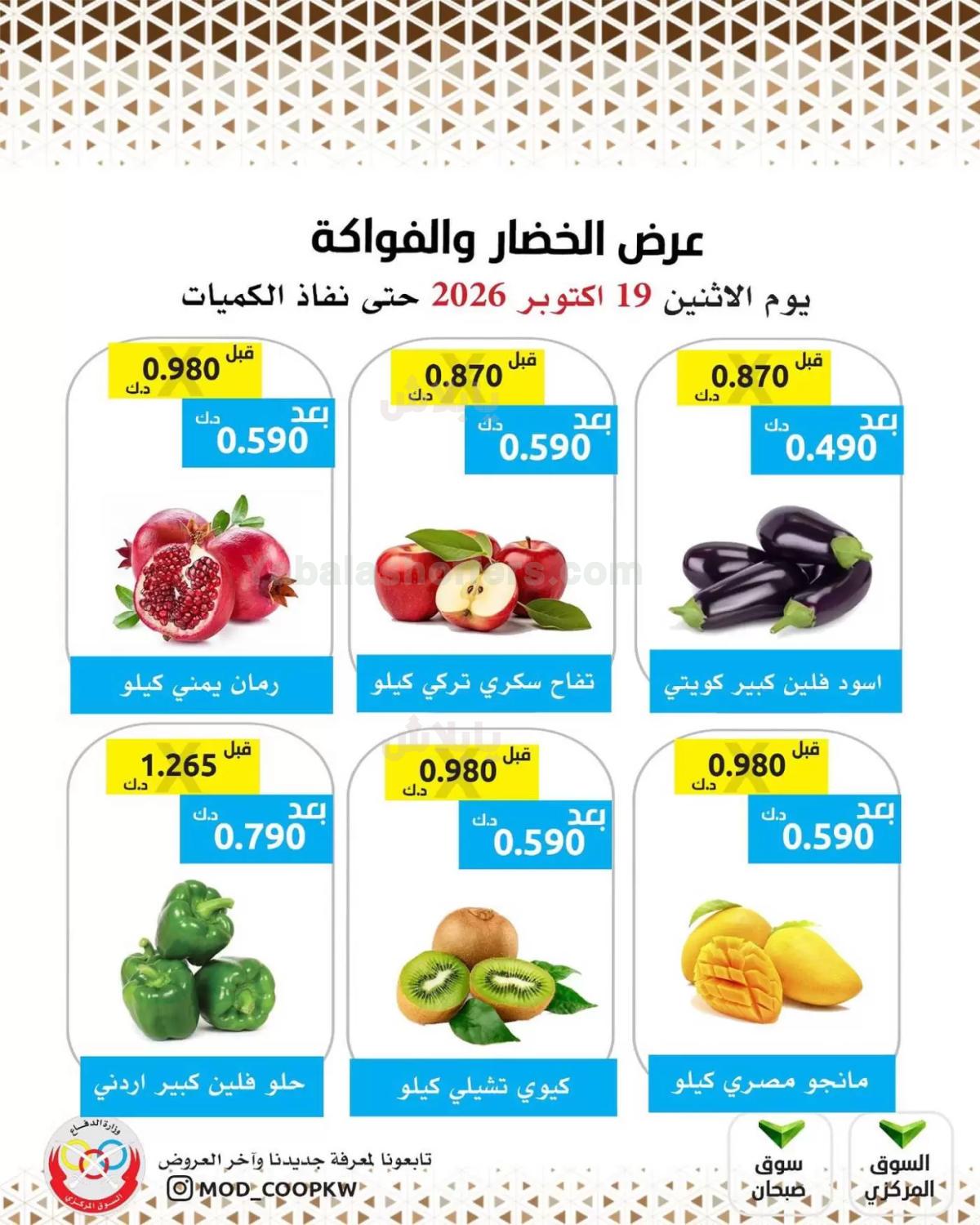 صفحة 2