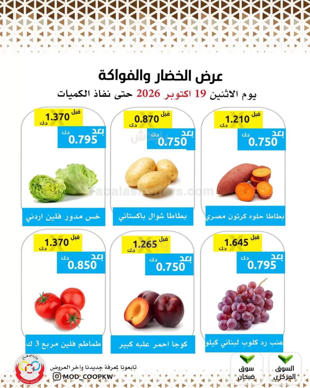 صفحة 3