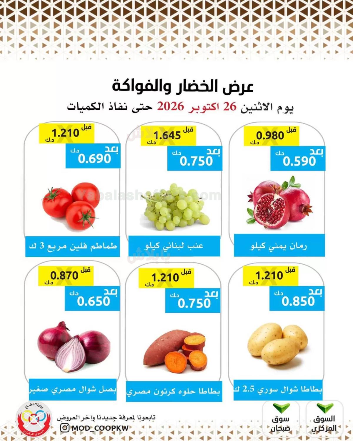 صفحة 2