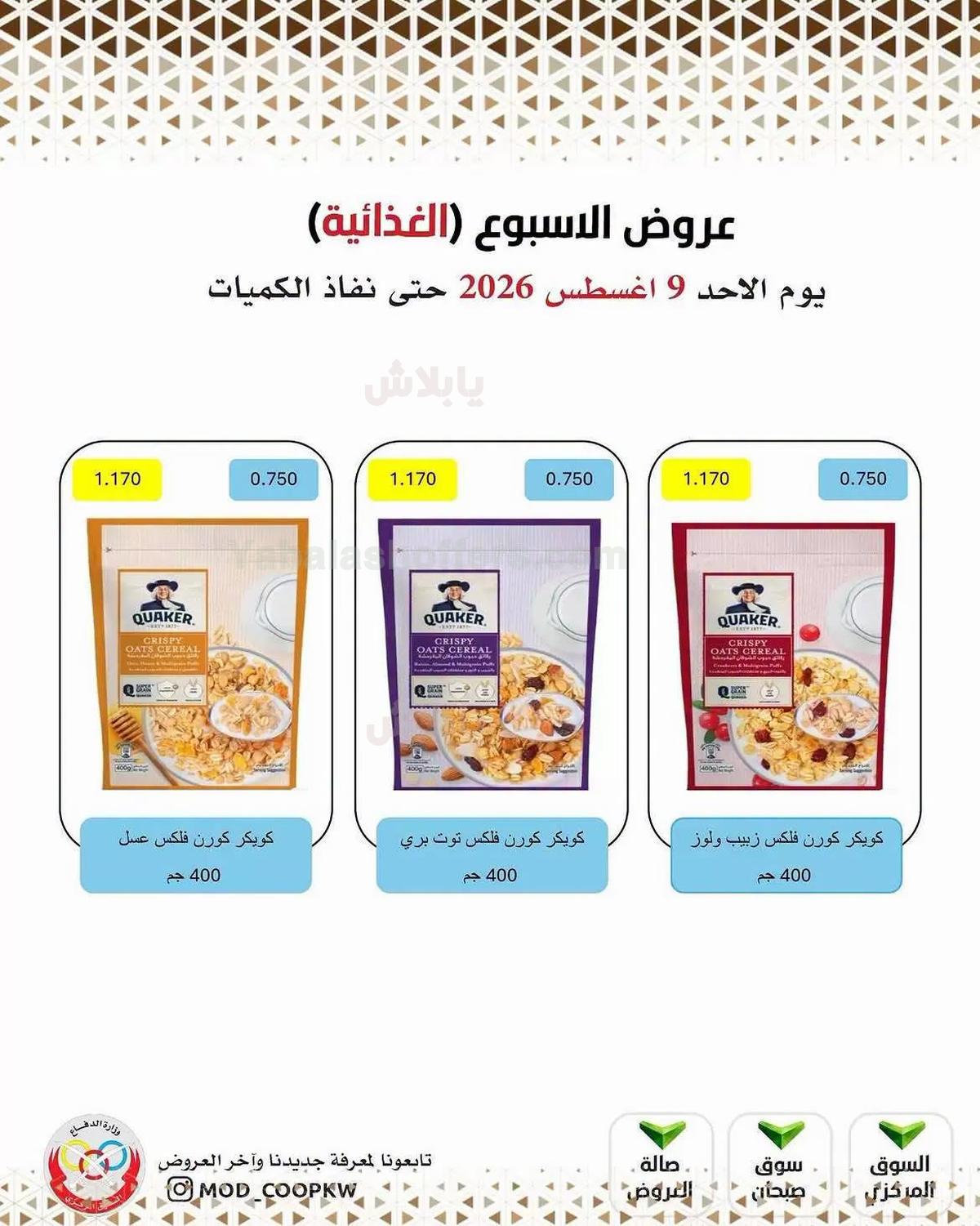 صفحة 8