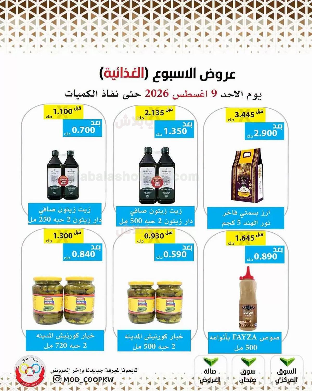 صفحة 17