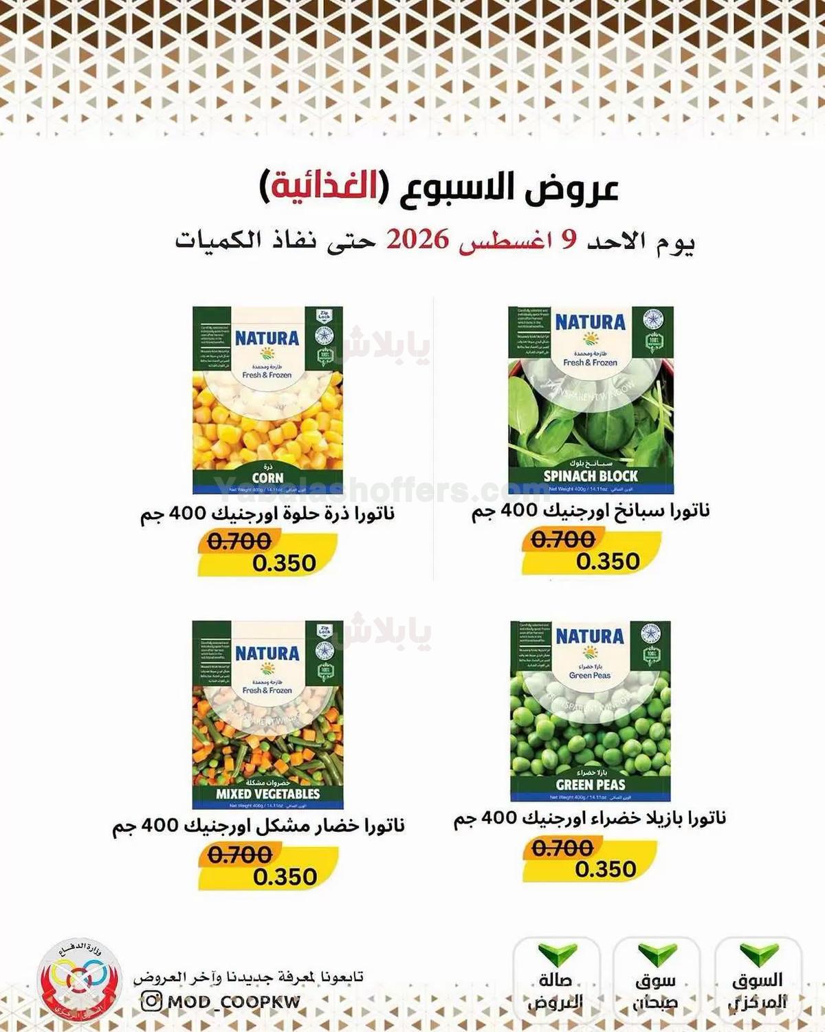 صفحة 19