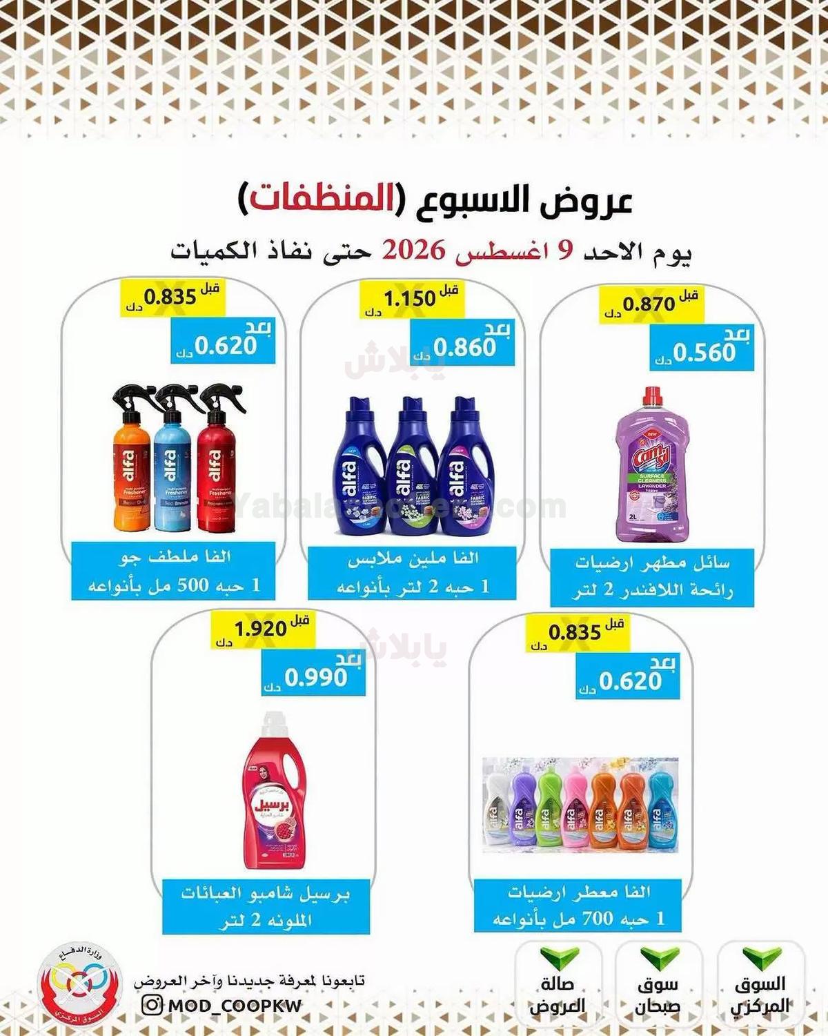 صفحة 29