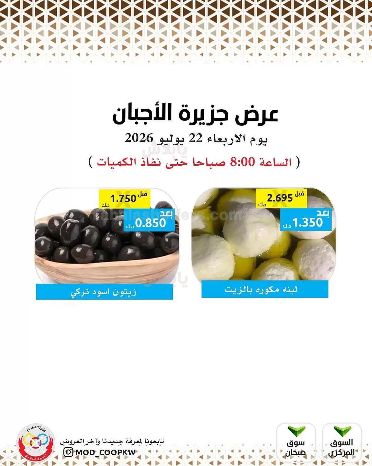 صفحة 3