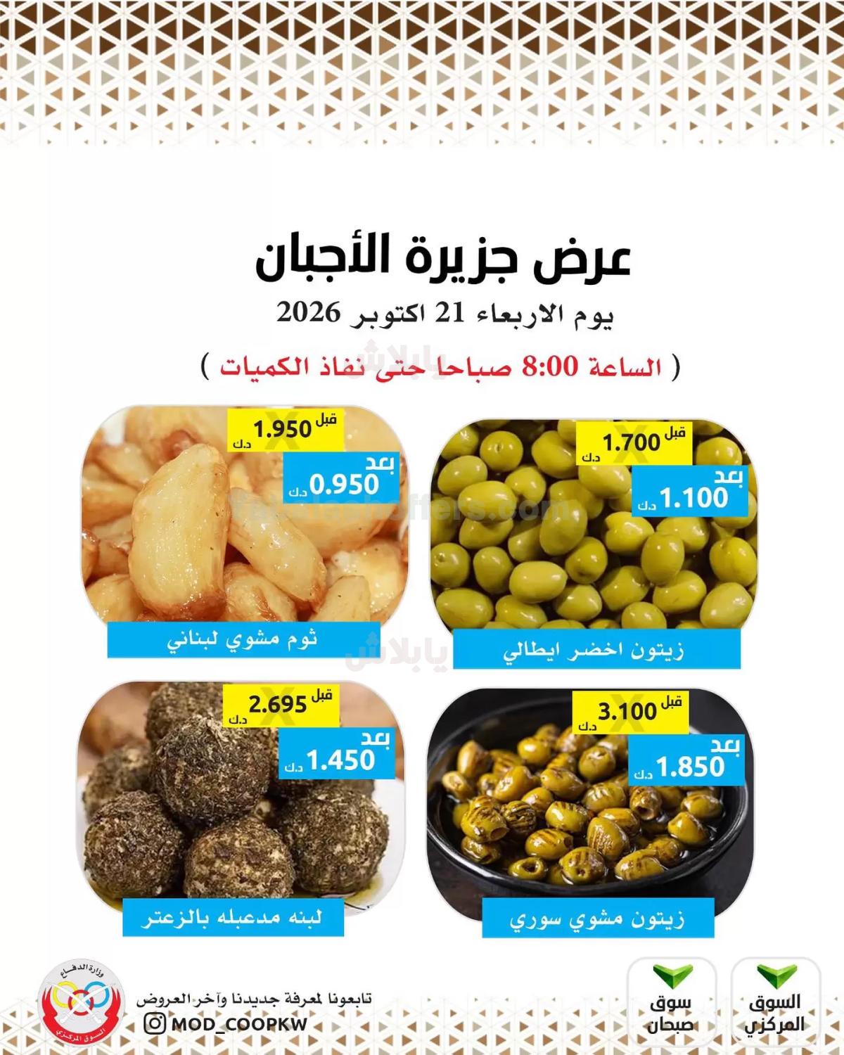 صفحة 3