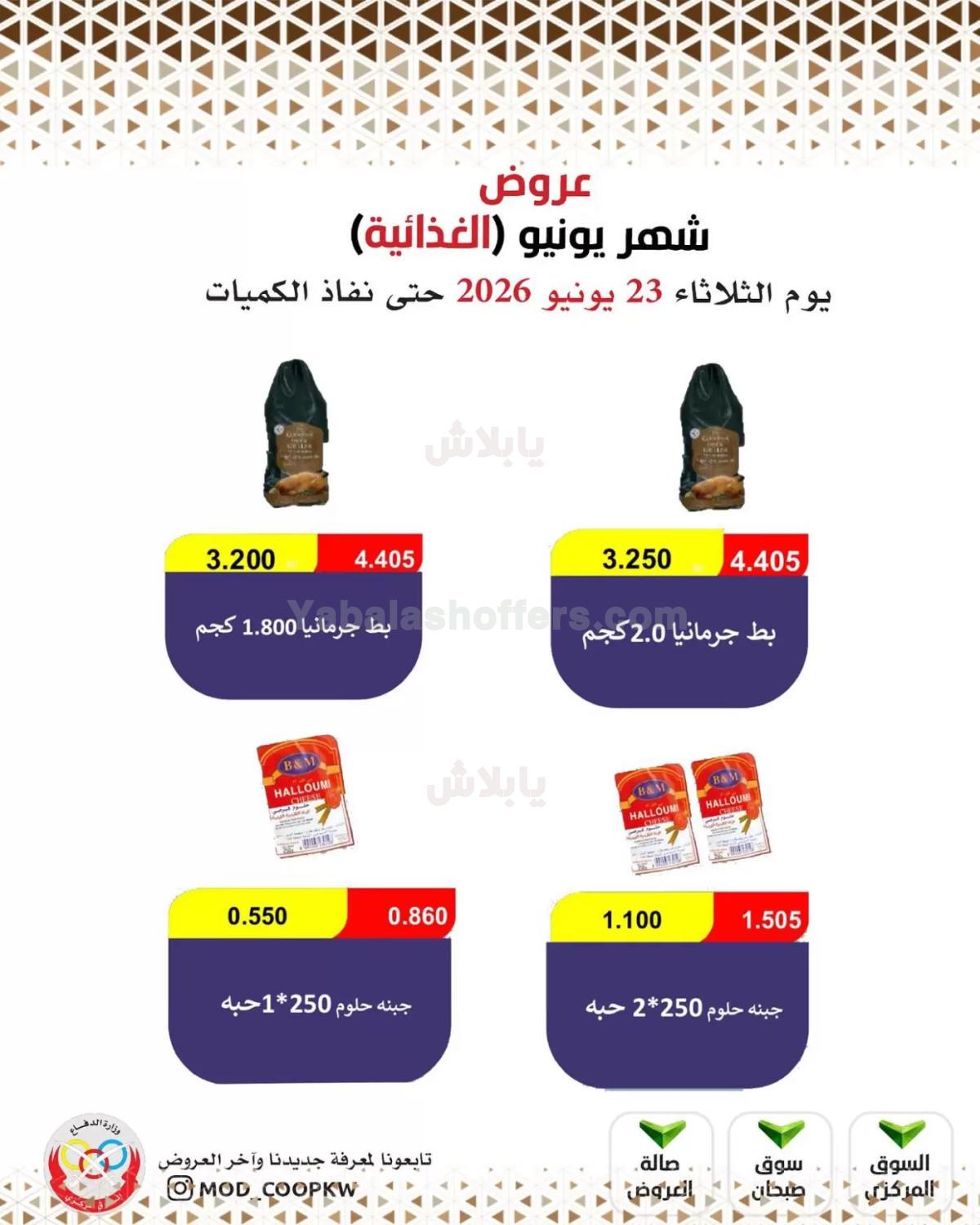 صفحة 13