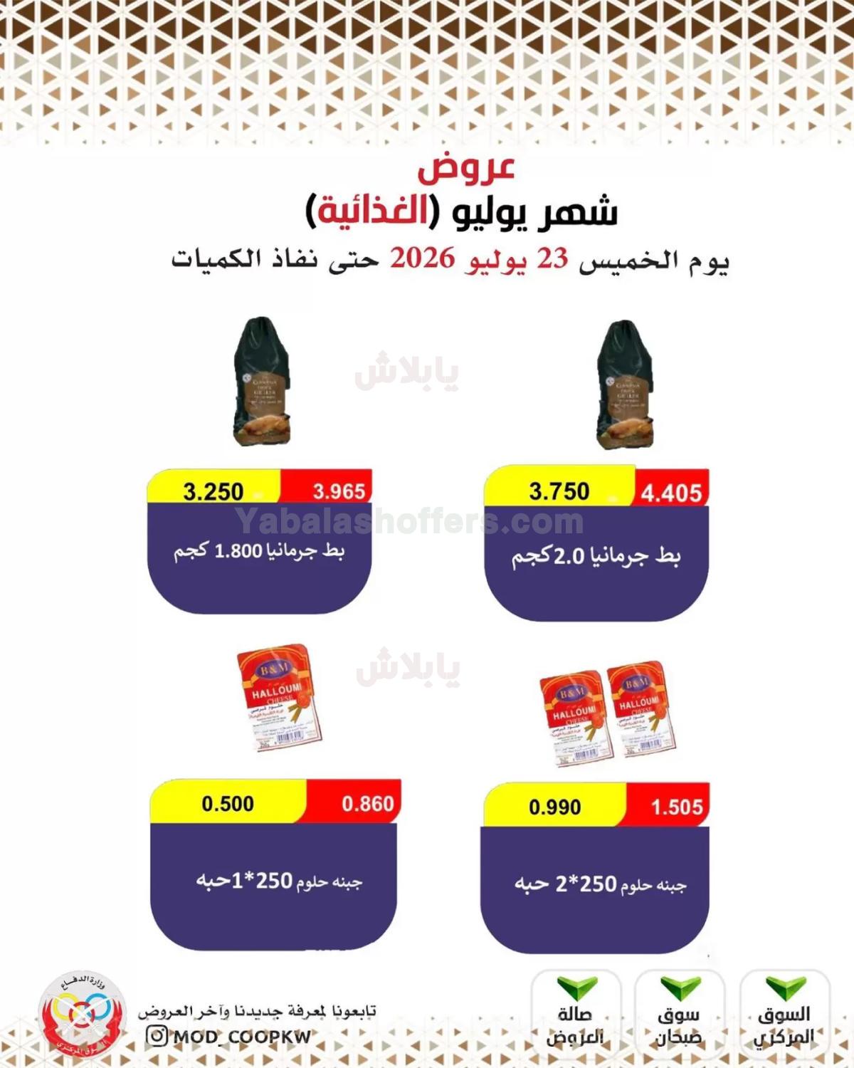 صفحة 13