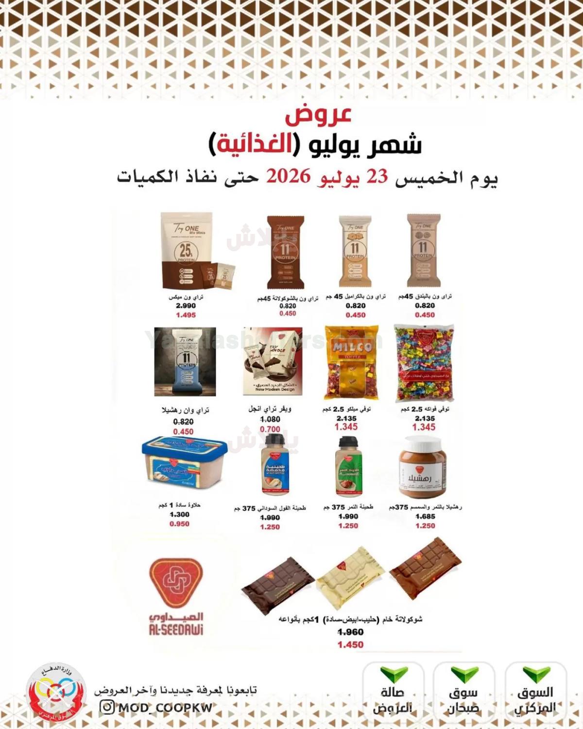 صفحة 17