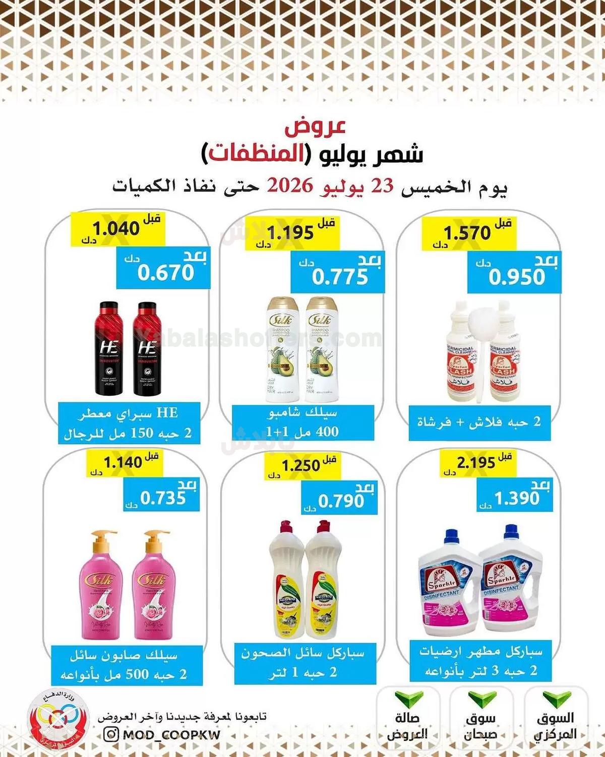 صفحة 11