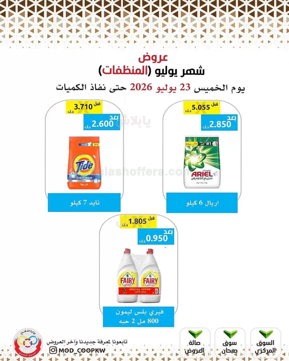 صفحة 13