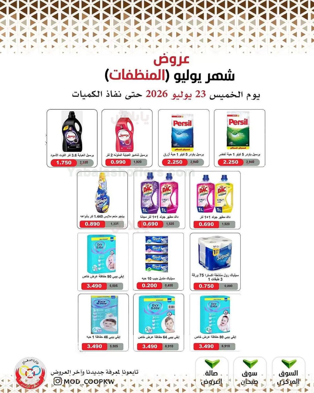 صفحة 17