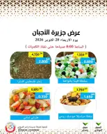صفحة 8