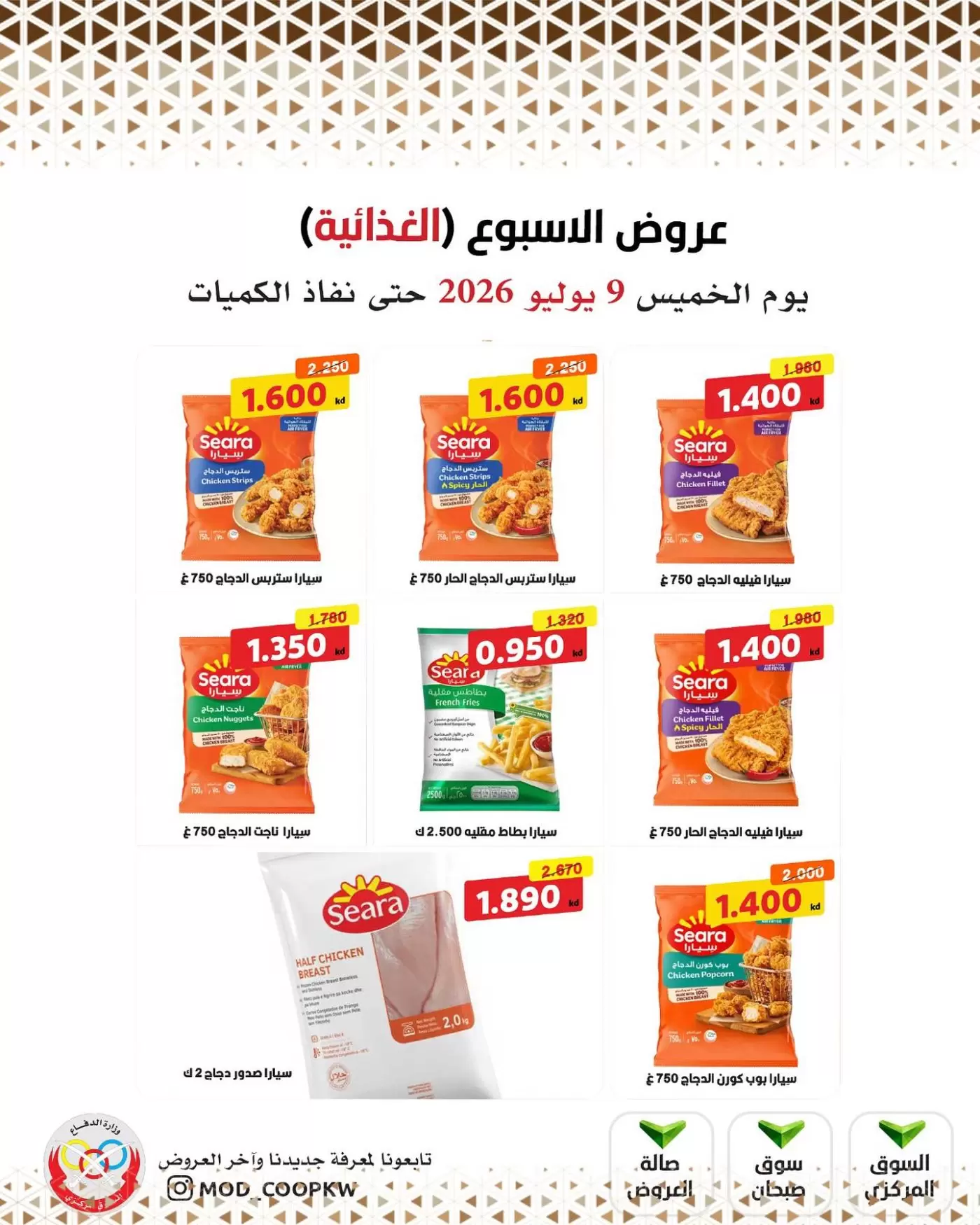 صفحة 13