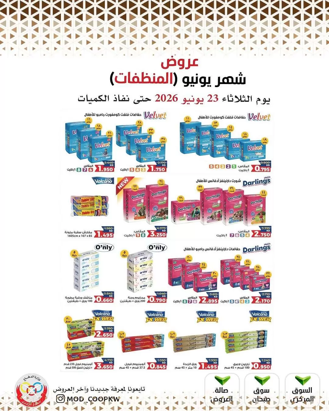 صفحة 13