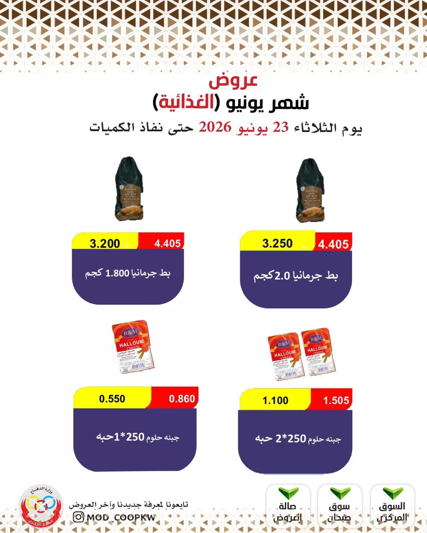 صفحة 13