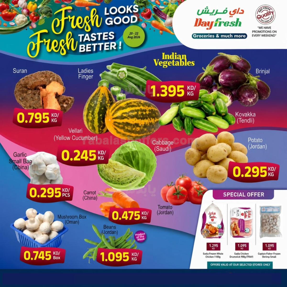 صفحة 2