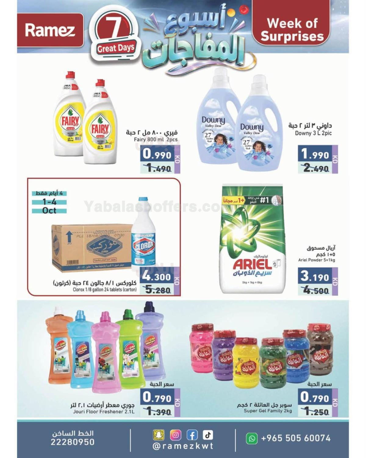 صفحة 13