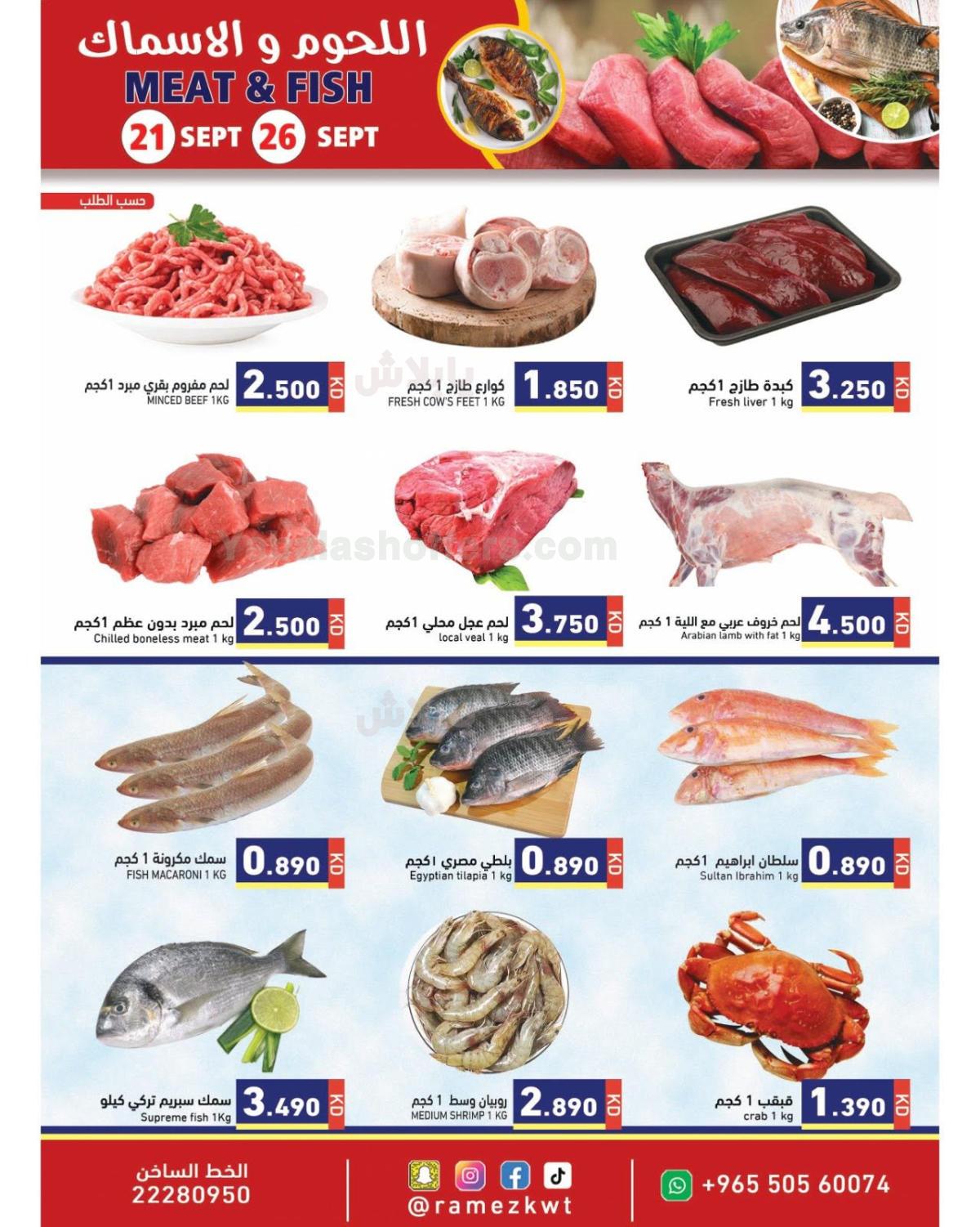 صفحة 9