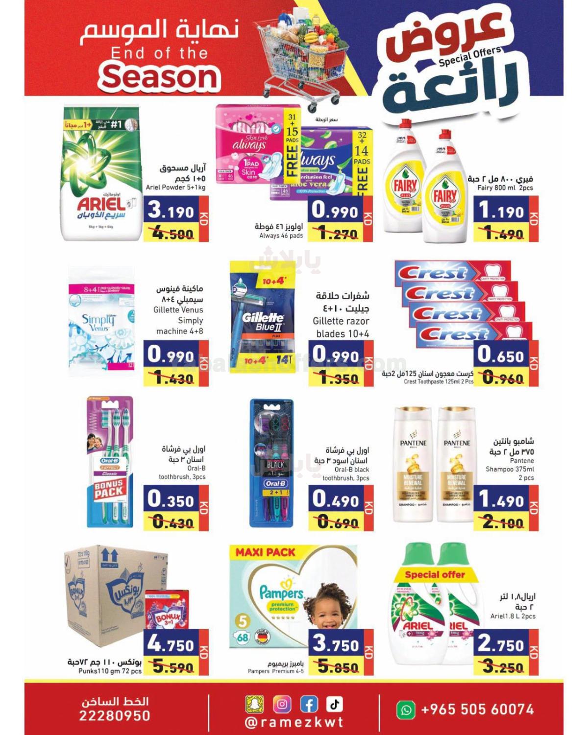 صفحة 12