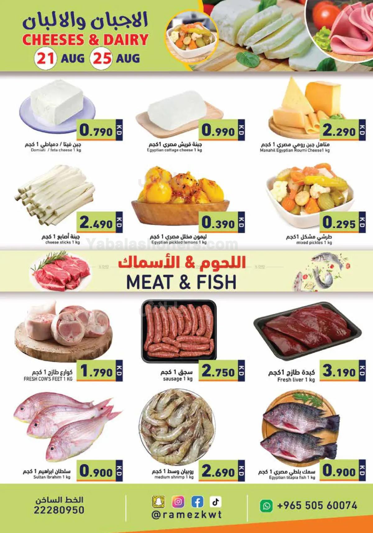 صفحة 11