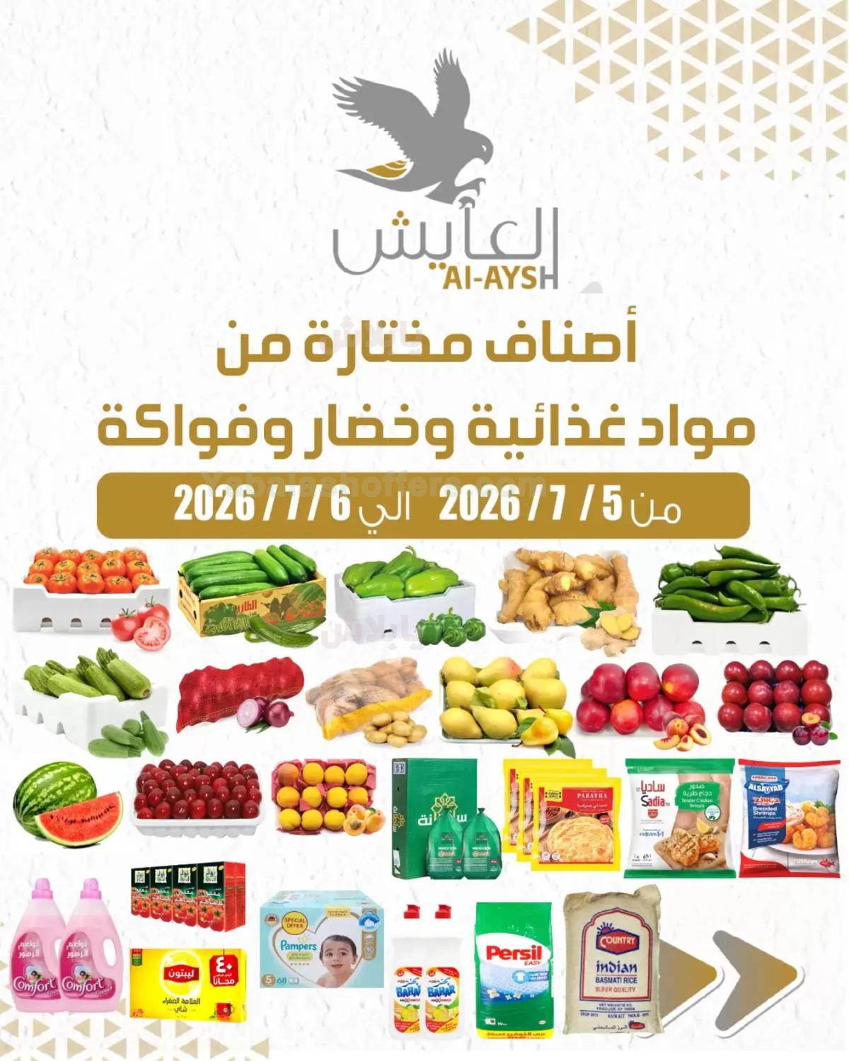 صفحة 1