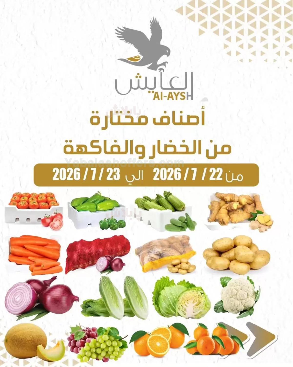 صفحة 1