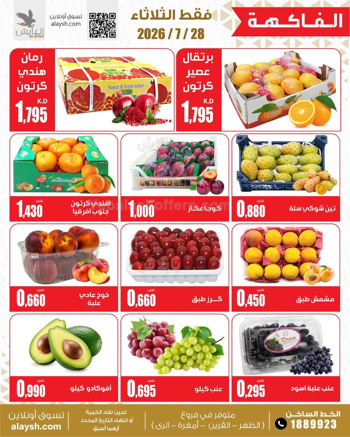 صفحة 3