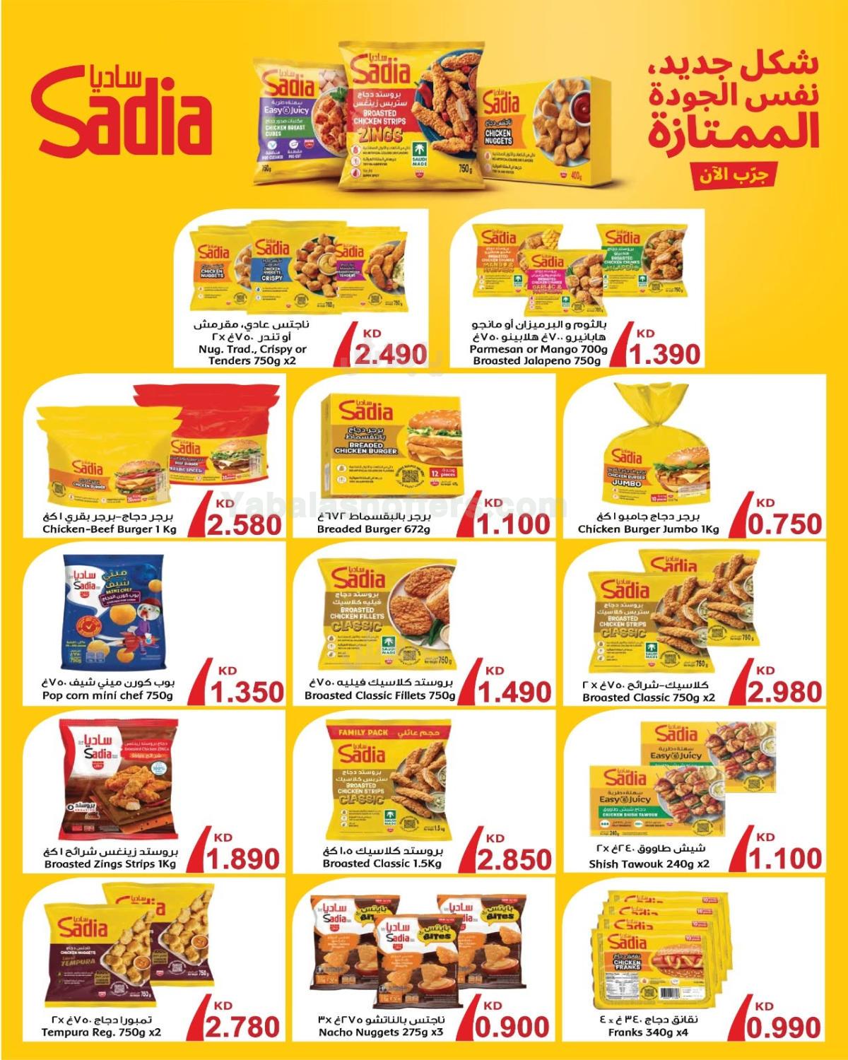 صفحة 3